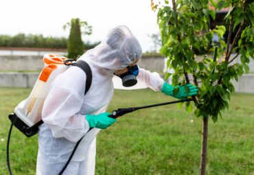 Perché scegliere la Bioprotezione come alternativa alla disinfestazione chimica