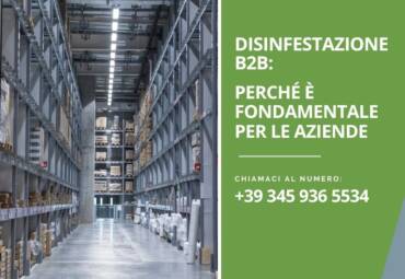 Disinfestazione B2B: Perché è fondamentale per le aziende