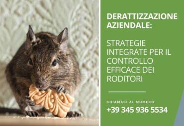 Derattizzazione aziendale: strategie integrate per il controllo efficace dei roditori