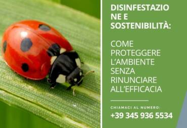 Disinfestazione e sostenibilità: come proteggere l’ambiente senza rinunciare all’efficacia