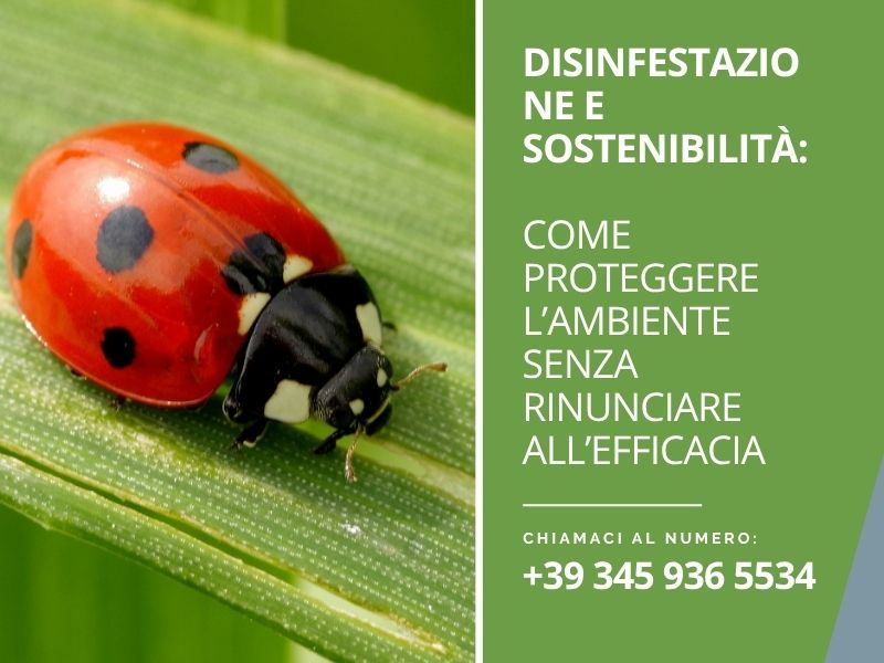 Disinfestazione e sostenibilità: come proteggere l’ambiente senza rinunciare all’efficacia