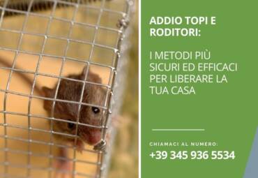 Addio topi e roditori: i metodi più sicuri ed efficaci per liberare la tua casa