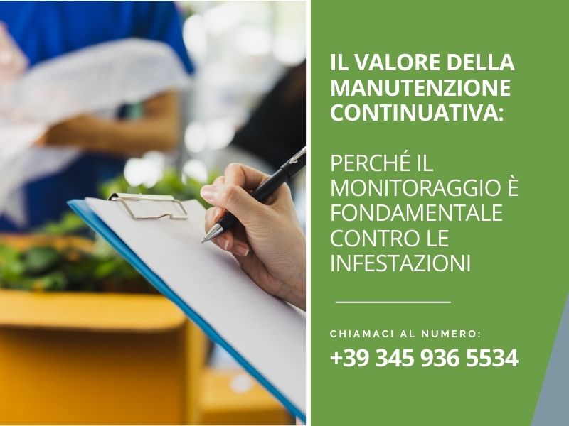 Il valore della manutenzione continuativa: perché il monitoraggio è fondamentale contro le infestazioni