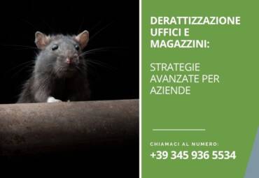 Derattizzazione uffici e magazzini: strategie avanzate per aziende
