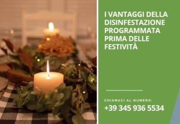 I vantaggi della disinfestazione programmata prima delle festività