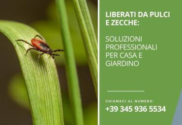 Liberati da pulci e zecche: soluzioni professionali per casa e giardino