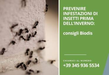 Prevenire infestazioni di insetti prima dell’inverno: consigli Biodis