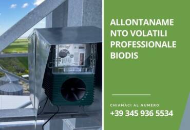 Allontanamento volatili professionale Biodis