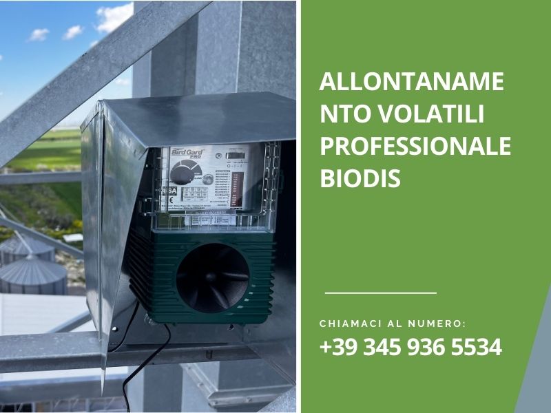 Allontanamento volatili professionale Biodis
