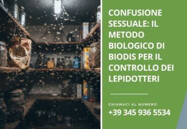 Confusione sessuale: il metodo biologico di Biodis per il controllo dei lepidotteri