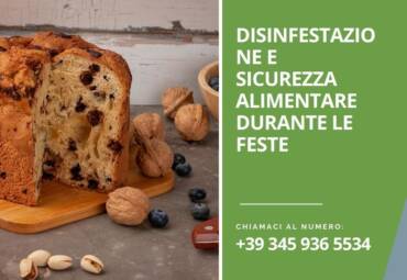 Disinfestazione e sicurezza alimentare durante le feste