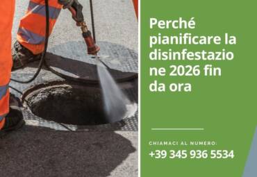 Perché pianificare la disinfestazione 2026 fin da ora