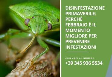 Disinfestazione primaverile: perché febbraio è il momento migliore per prevenire infestazioni