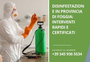 Disinfestazione in provincia di Foggia: interventi rapidi e certificati
