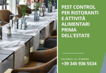Pest control per ristoranti e attività alimentari prima dell’estate
