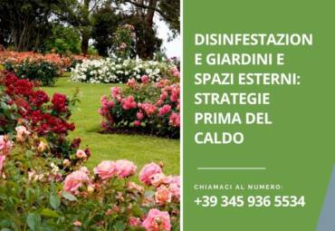 Disinfestazione giardini e spazi esterni: strategie prima del caldo