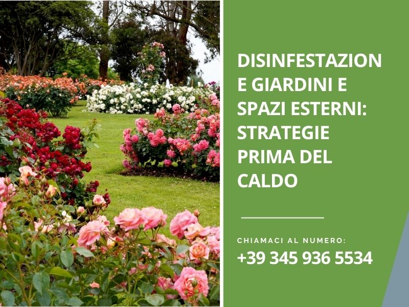Disinfestazione giardini e spazi esterni: strategie prima del caldo