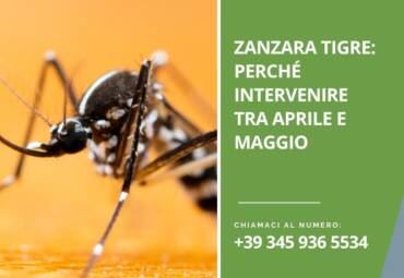 Zanzara tigre: perché intervenire tra aprile e maggio