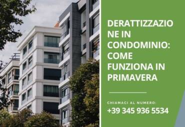 Derattizzazione in condominio: come funziona in primavera