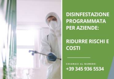 Disinfestazione programmata per aziende: ridurre rischi e costi