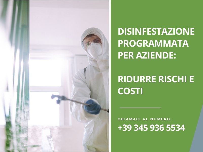 Disinfestazione programmata per aziende: ridurre rischi e costi