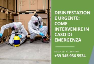 Disinfestazione urgente: come intervenire in caso di emergenza