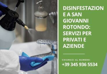 Disinfestazione a San Giovanni Rotondo: servizi per privati e aziende