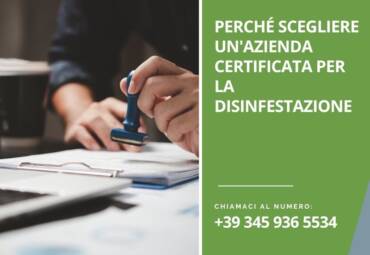 Perché scegliere un’azienda certificata per la disinfestazione