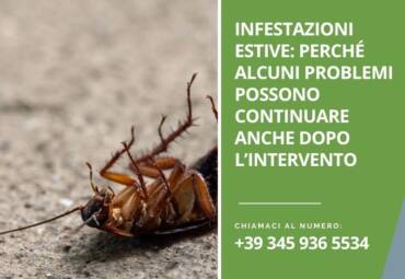 Infestazioni estive: perché alcuni problemi possono continuare anche dopo l’intervento